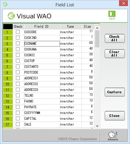 15_Field information of selected table